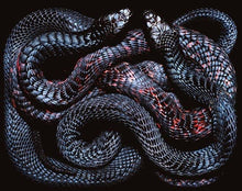 Load image into Gallery viewer, The ritual of Unrequited Love